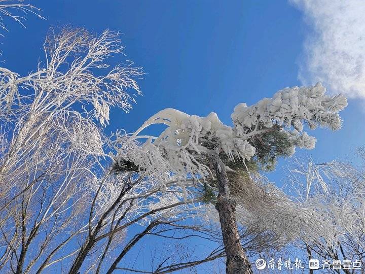 濟南跑馬嶺景區開啟造雪模式冰雪旅遊即將開幕