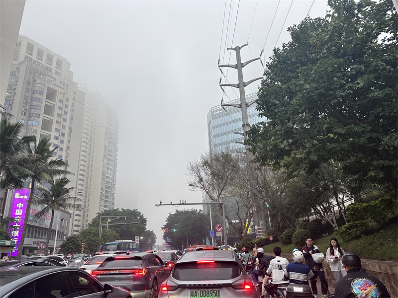 【组图】海口大雾迷城 气象部门发布大雾黄色预警