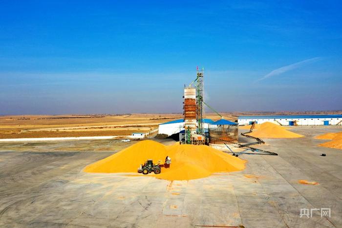 乡村振兴看内蒙古|科学储粮守住"天下粮仓"