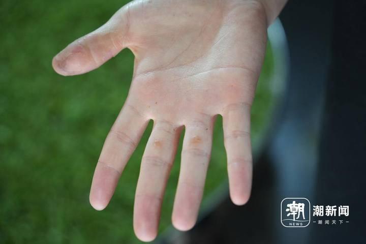 "今年是王艺从母亲手上接手茶园的第五年,从对茶一窍不通,到如今熟练