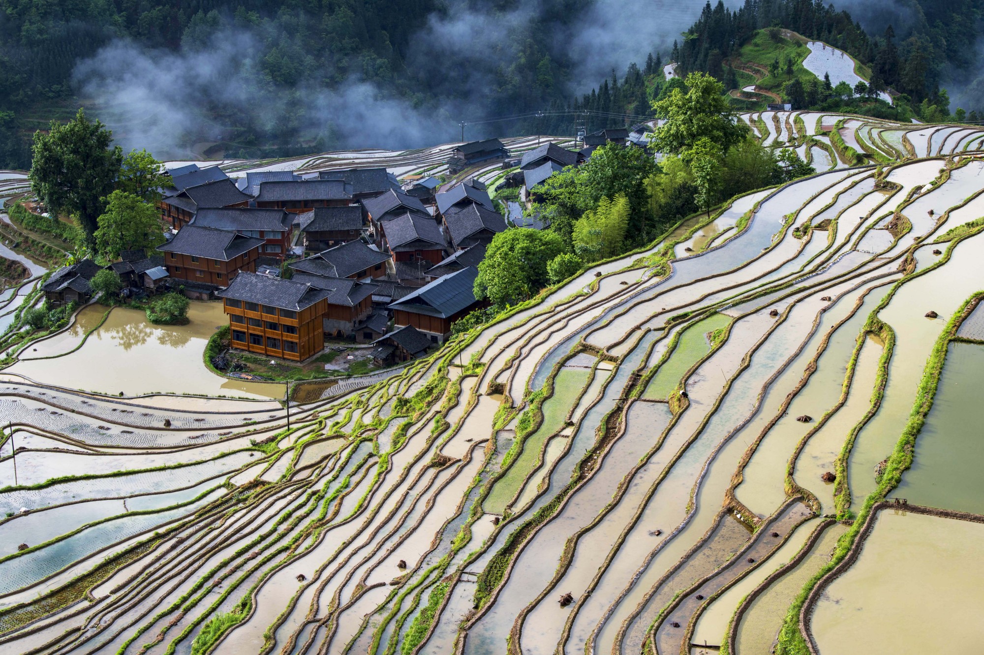 贵州从江:梯田"春耕图"引客来