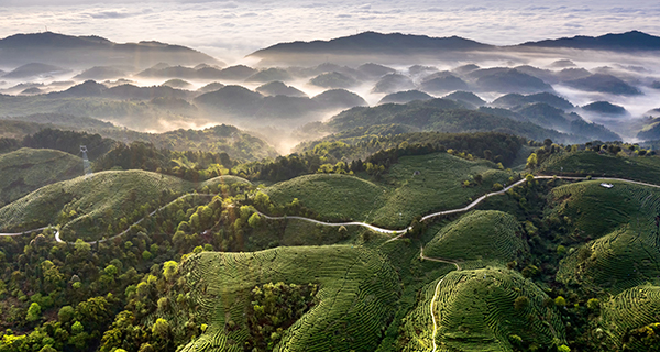 大竹县亮相《300秒看家乡》,尽显向新而行,向高而攀的城市风采