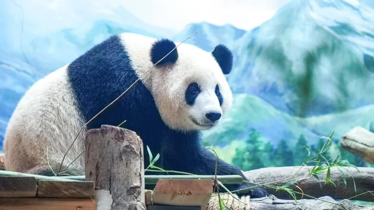 0e104d09b432f6aa5c1453f9ff183fd8.jpg 0e104d09b432f6aa5c1453f9ff183fd8.jpg