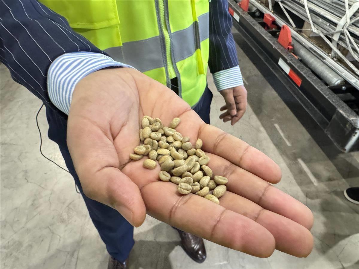 埃塞俄比亚精品咖啡豆 (2).jpg