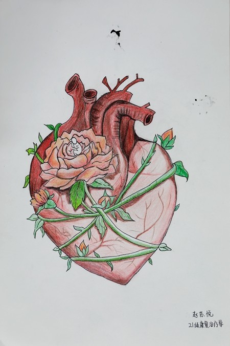 医学器官创意绘画图片