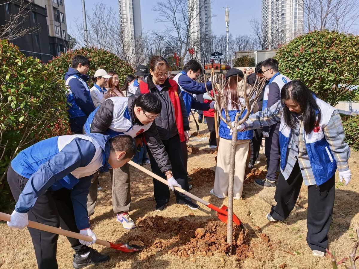 图片3.jpg 图片3.jpg