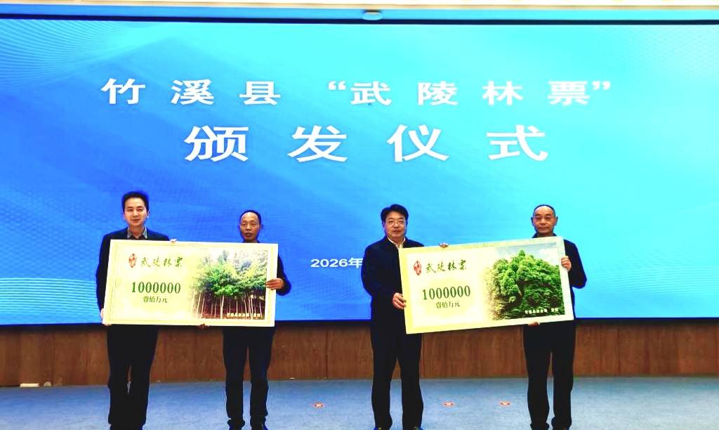 湖北首单林票变现200万元 | 极目新闻