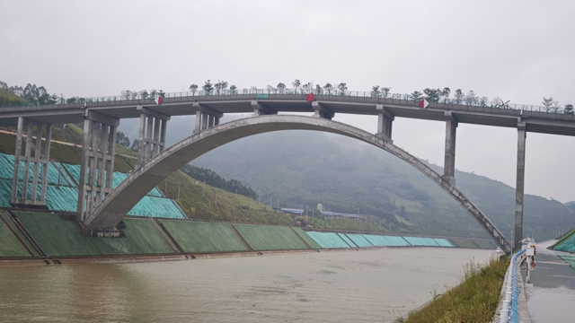 平陆运河上建起一座廊桥，没有沥青只铺原生种植土，是野生动物的“VIP专属通道”
