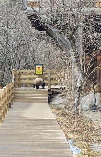 ScreenShot_2026-03-30_101821_789.png ScreenShot_2026-03-30_101821_789.png