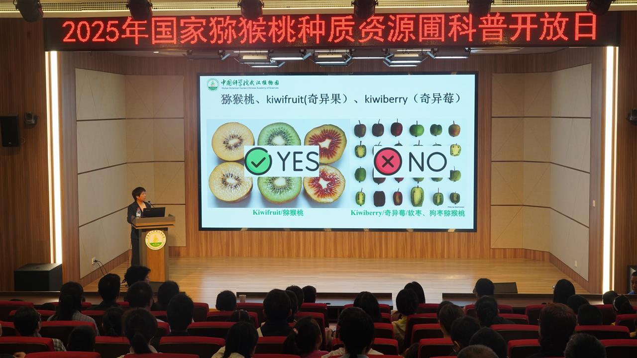 植物园猕猴桃专家的科普讲座.JPG