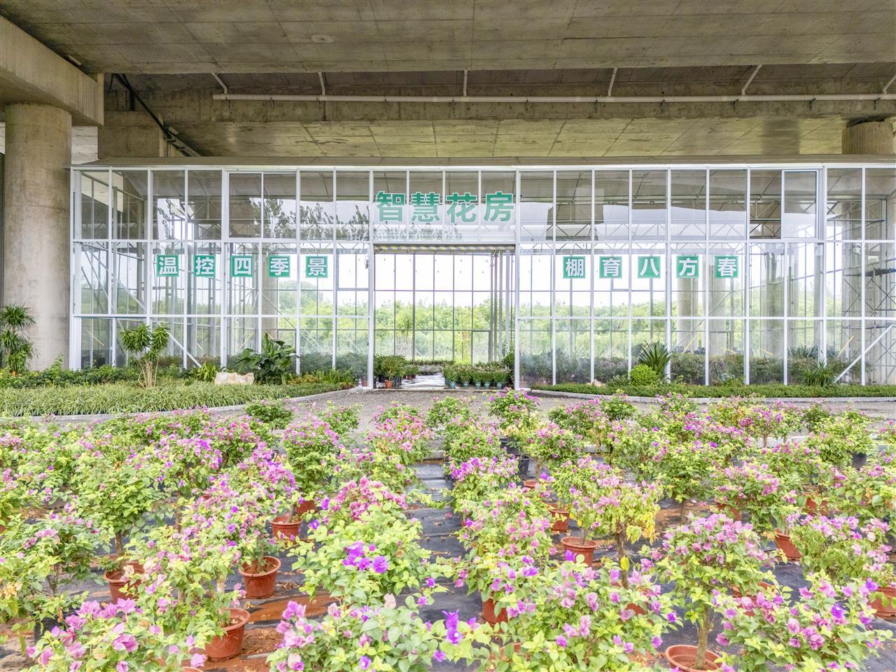 智慧花房.jpg