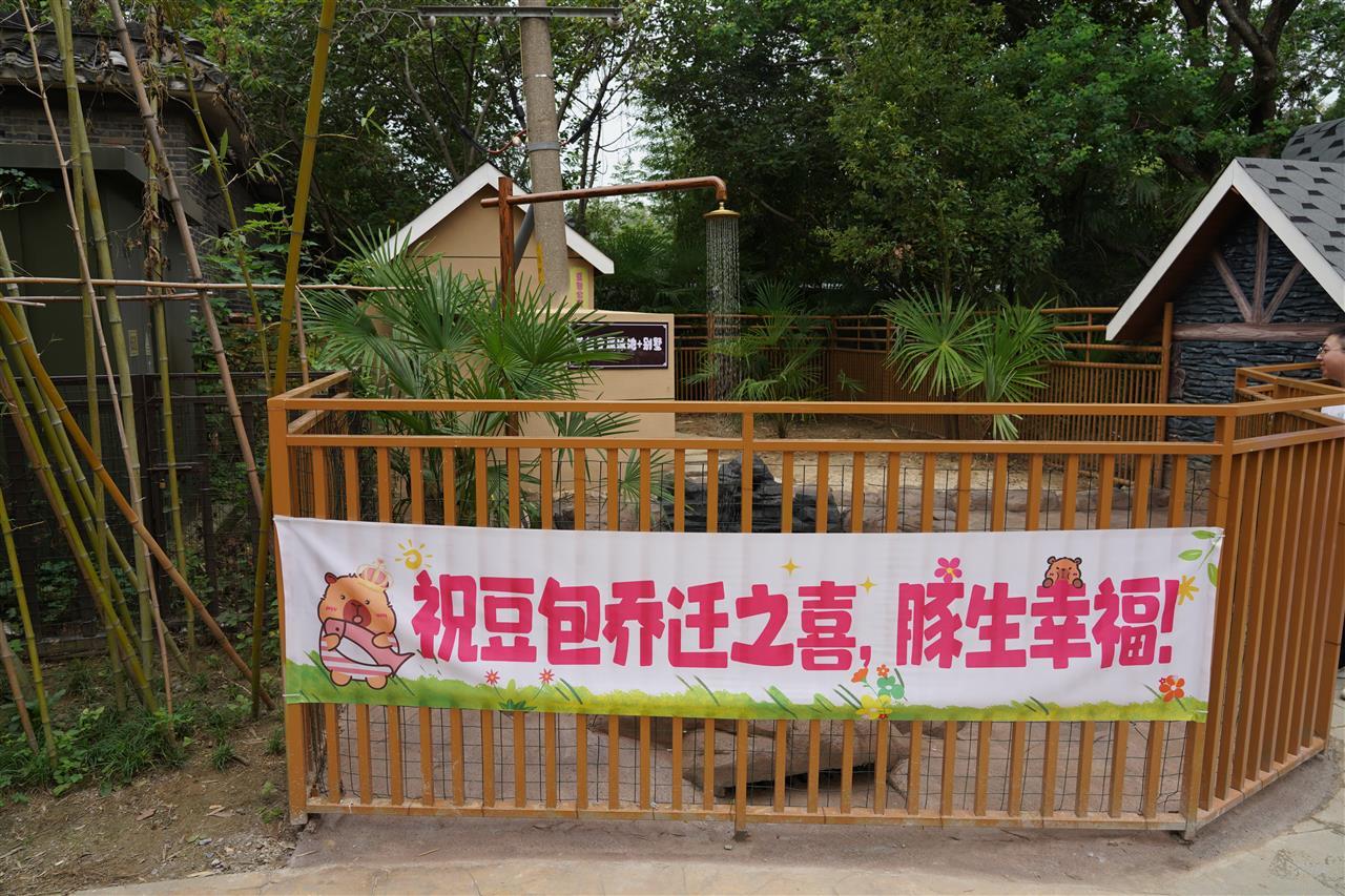 DSC08363.JPG DSC08363.JPG