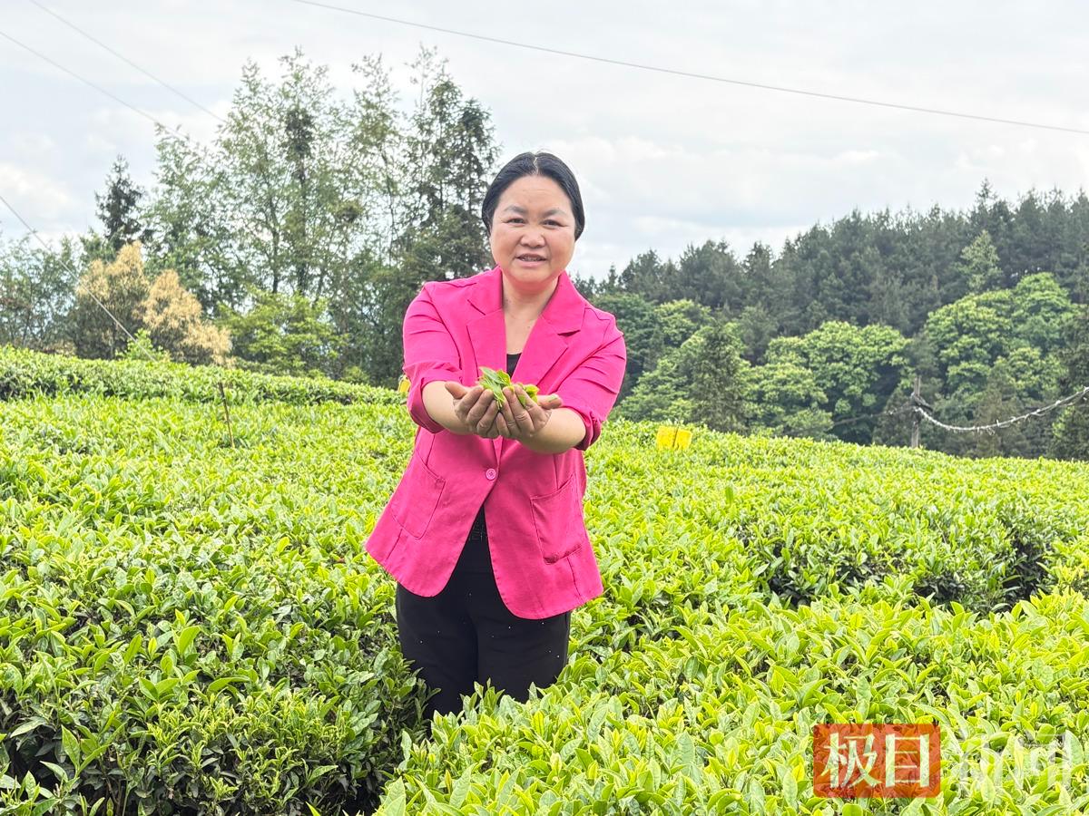 微信图片_20260513163645_34_2457.jpg 微信图片_20260513163645_34_2457.jpg