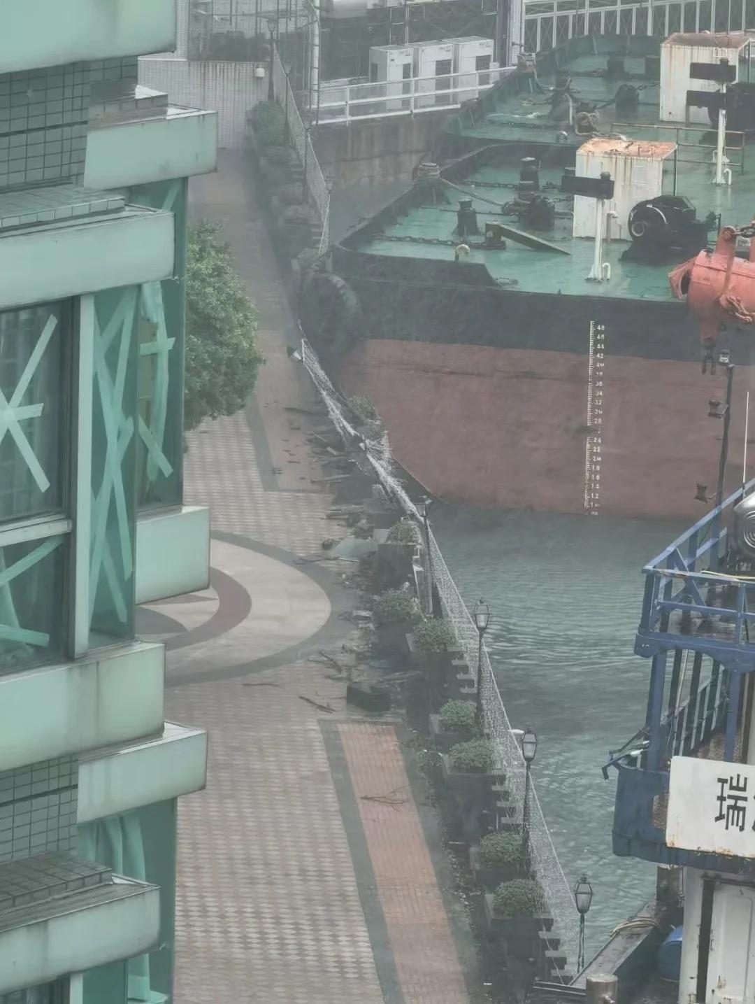 🇭🇰有沒有海逸xx黃埔xx的邻居?船撞上岸了_3_ABC_来自小红书网页版.jpg 🇭🇰有沒有海逸xx黃埔xx的邻居?船撞上岸了_3_ABC_来自小红书网页版.jpg