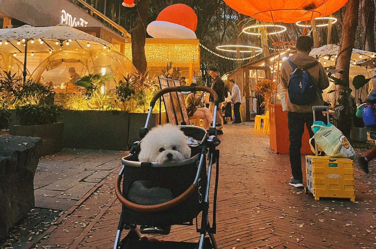 图片2.png 图片2.png