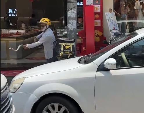 四川一外卖小哥送餐路上徒手抓蛇，当事人：曾做过保安，蛇无毒被其咬伤手背