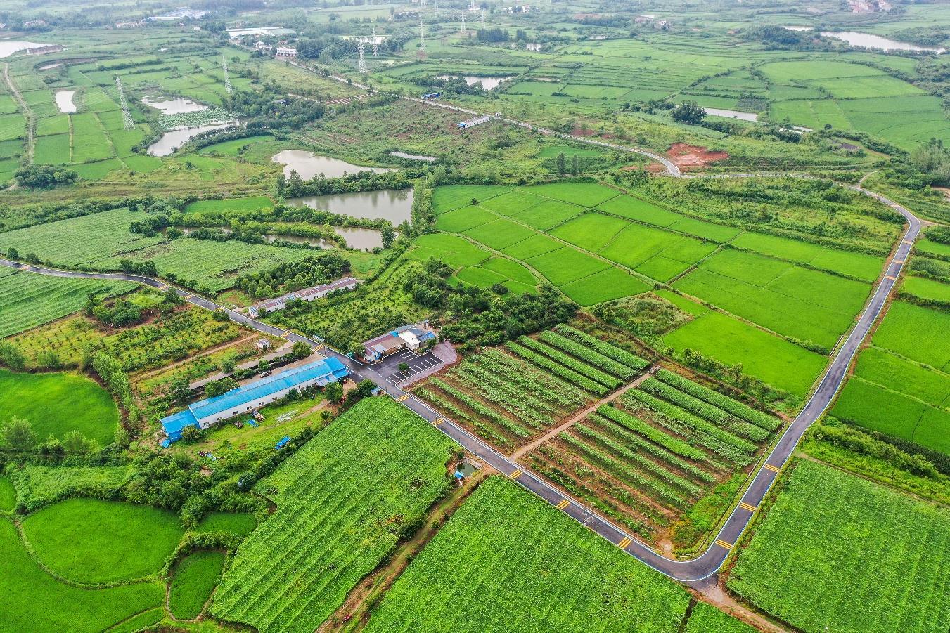 祝墩村彩春家庭农场.png