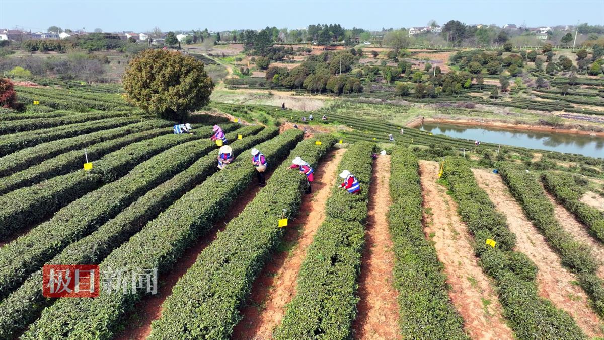 图片6.png 图片6.png