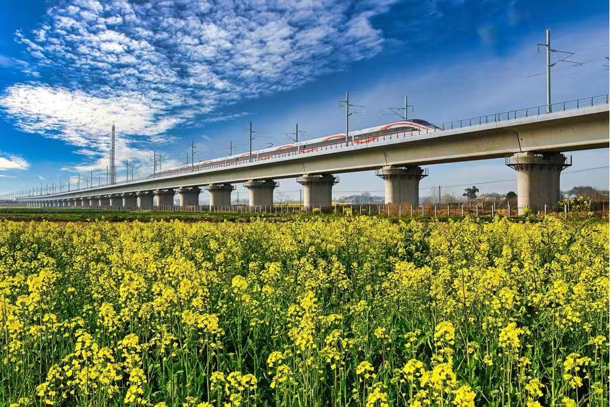 高铁掠过油菜花田 陈智勇 摄.jpg