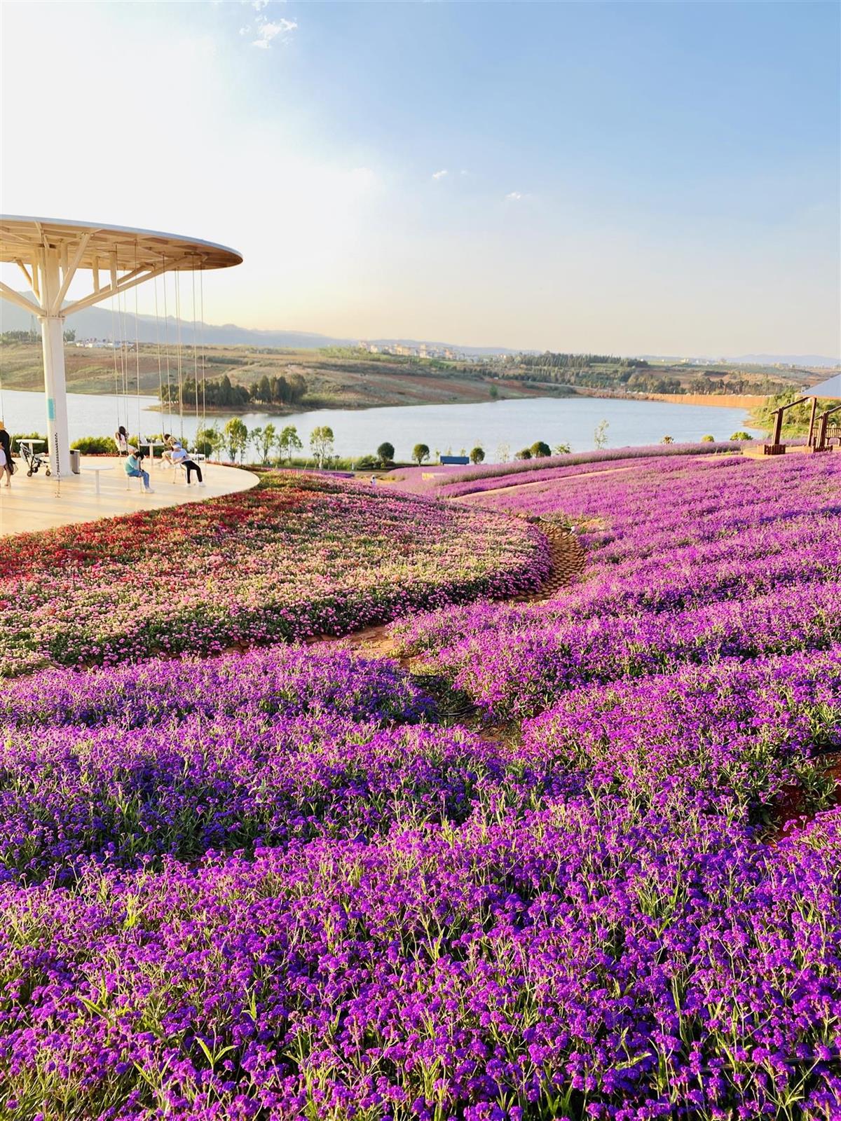 图片7.png 图片7.png