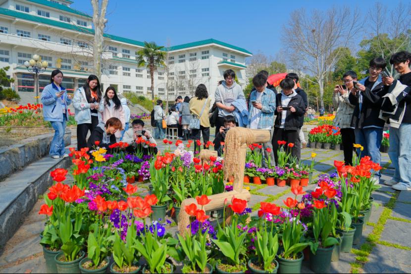 武汉生物工程学院2026年郁金香暨春菊展启幕291.png 武汉生物工程学院2026年郁金香暨春菊展启幕291.png