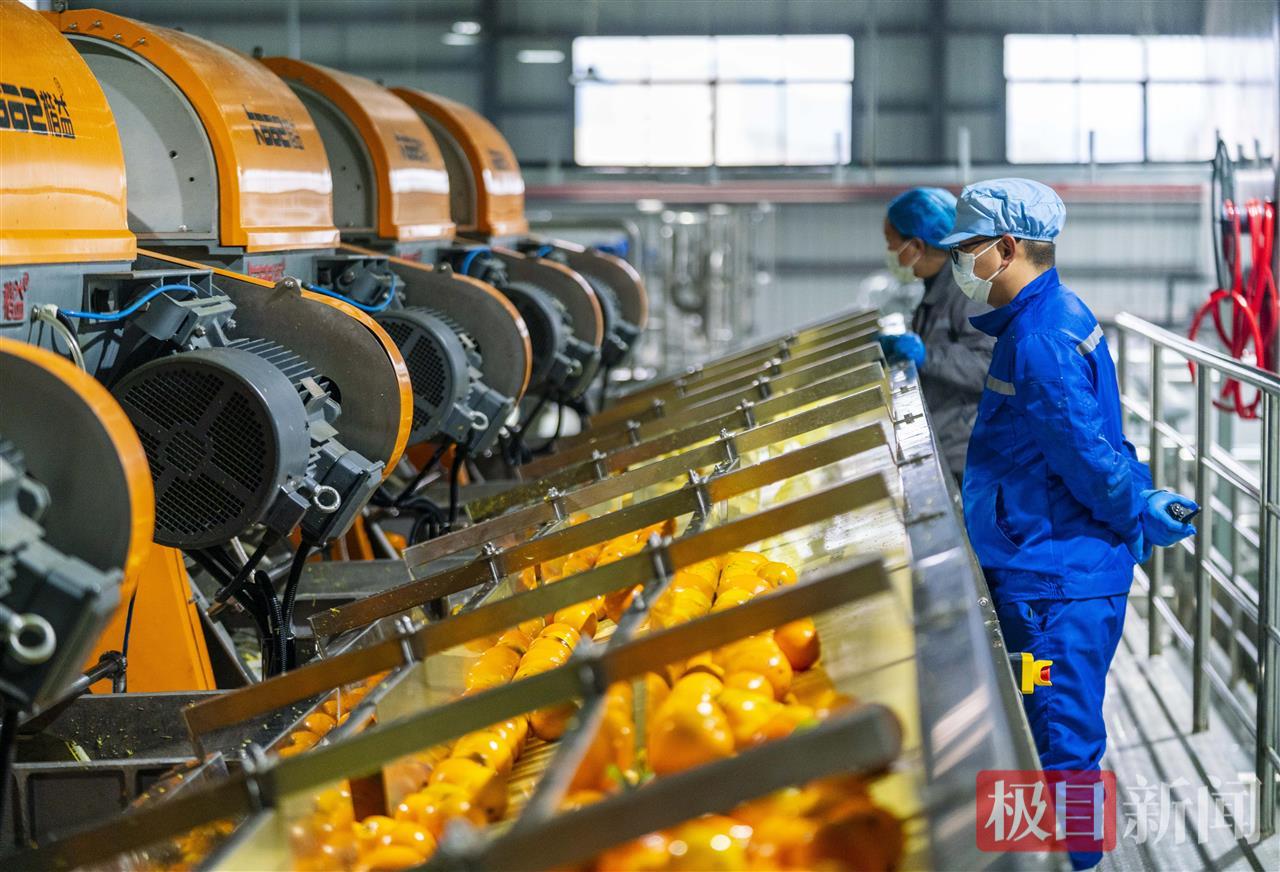 果乐迪工作人员检查橙汁生产线运行情况 周仕伟 摄 (1).JPG