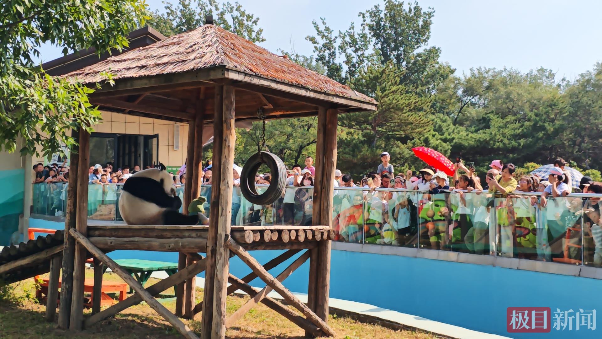 微信图片_20251009181453.jpg 微信图片_20251009181453.jpg