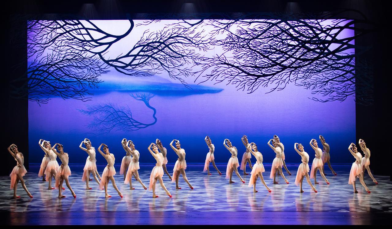 a854c1def49d79ec246c4e59f01bf80.jpg a854c1def49d79ec246c4e59f01bf80.jpg