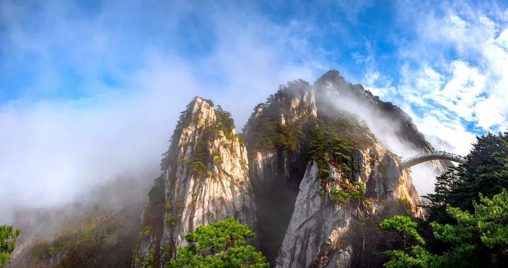 mmexport1750748468025.png mmexport1750748468025.png