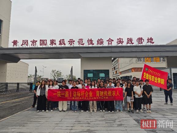图片7.jpg 图片7.jpg