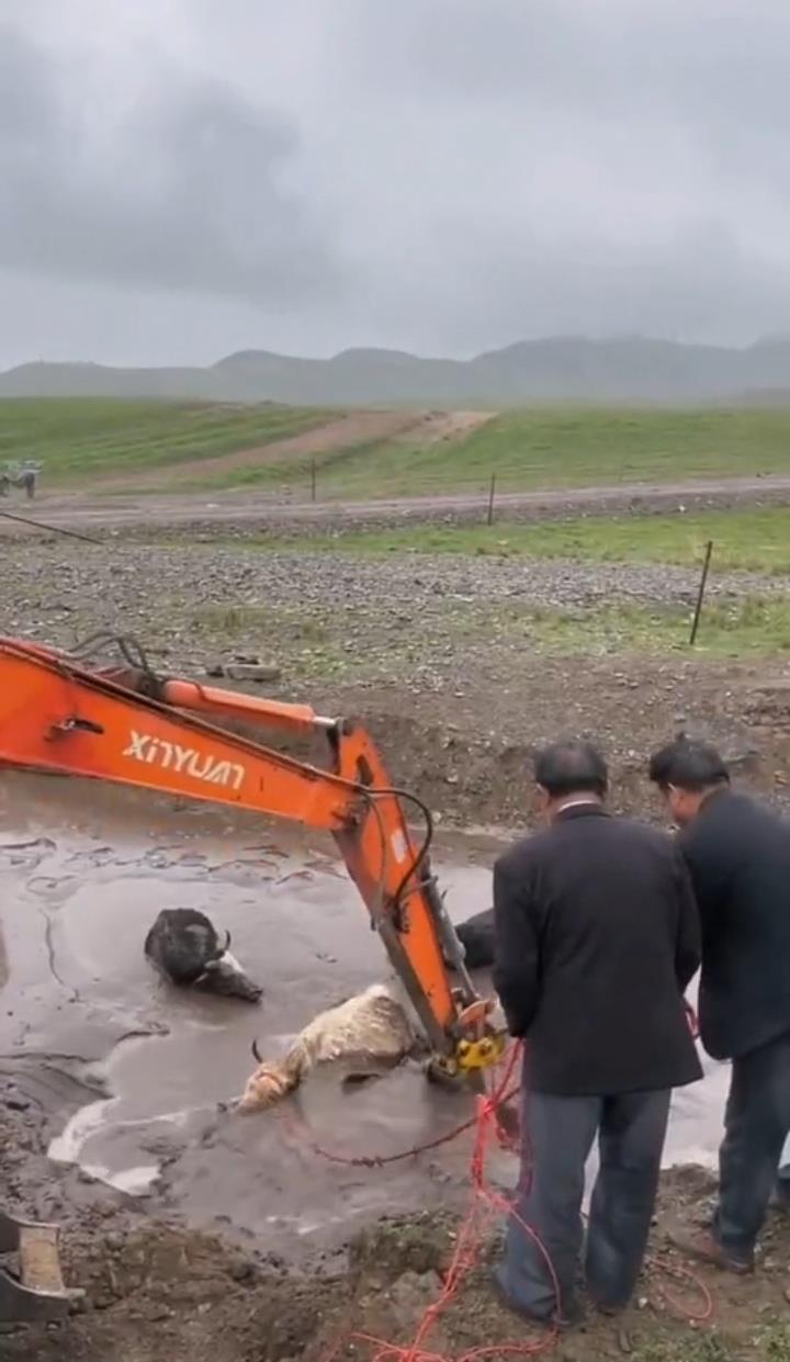 WechatIMG1019.jpeg WechatIMG1019.jpeg