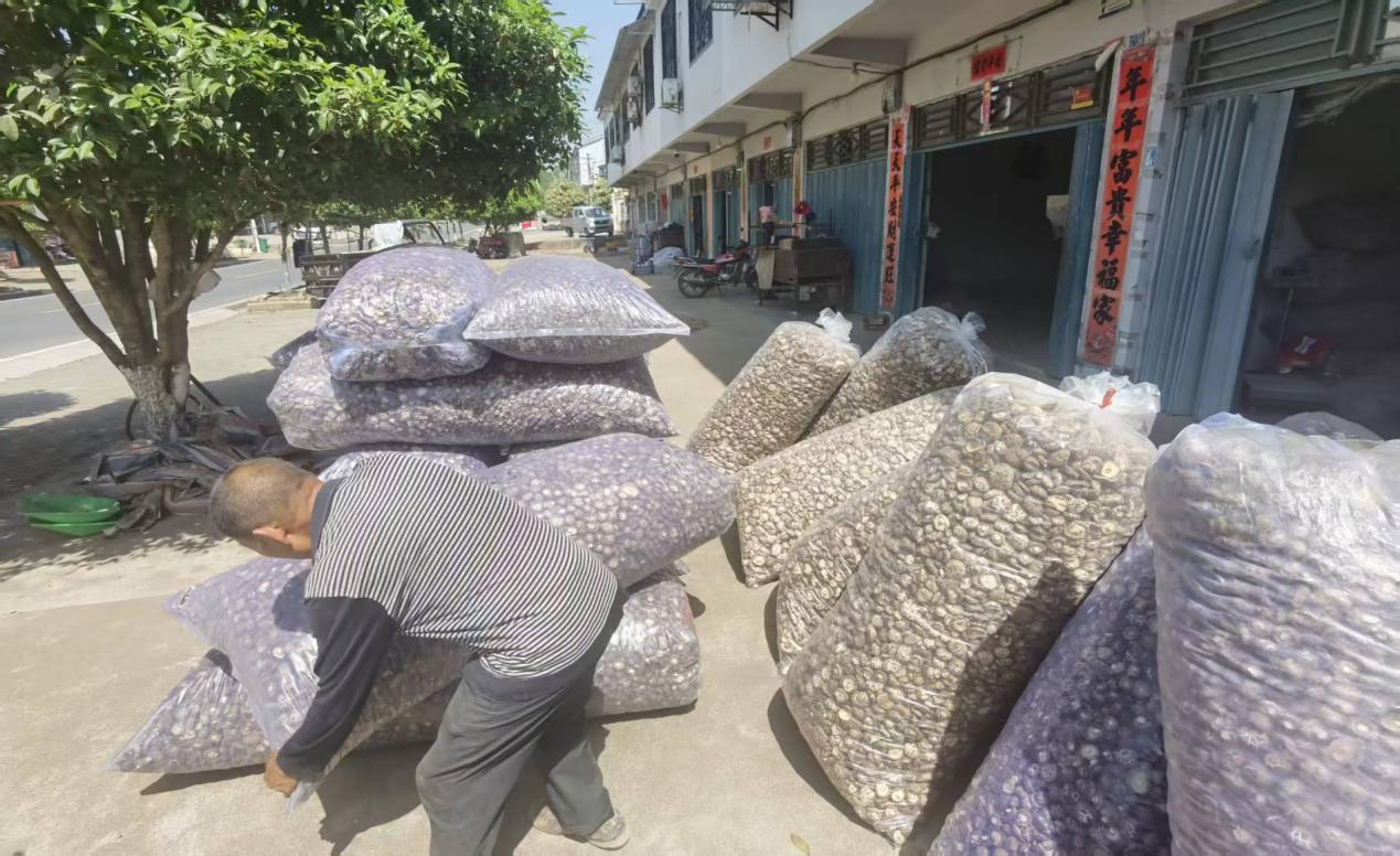 图片3.png 图片3.png