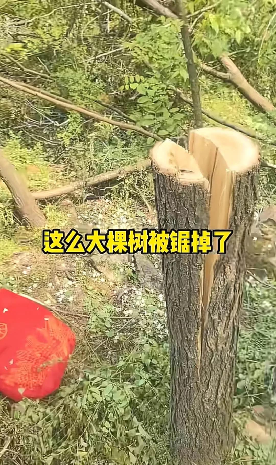 微信图片_20260502115428_677_408.png