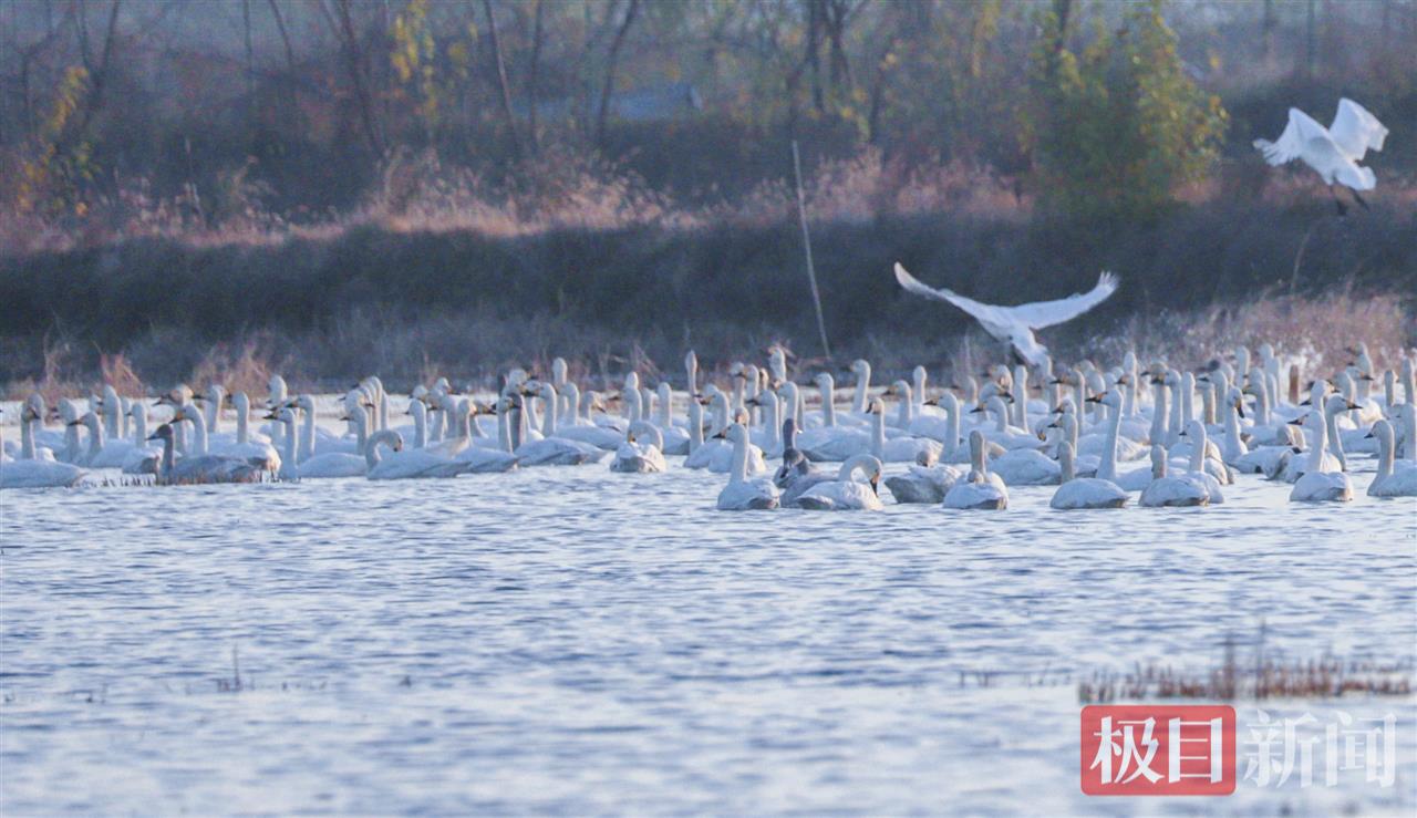 _MG_1337.JPG _MG_1337.JPG