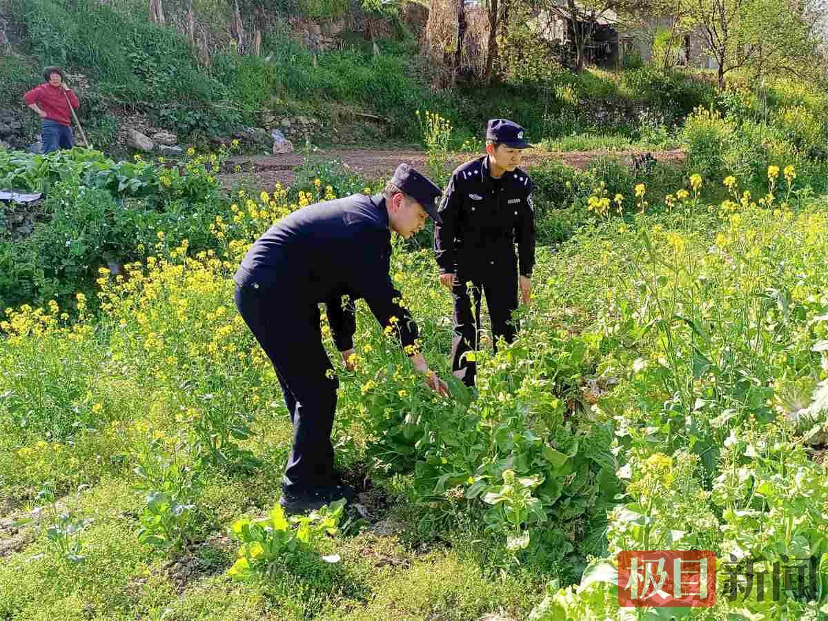 图1：城关派出所民警正在田间踏查.jpg