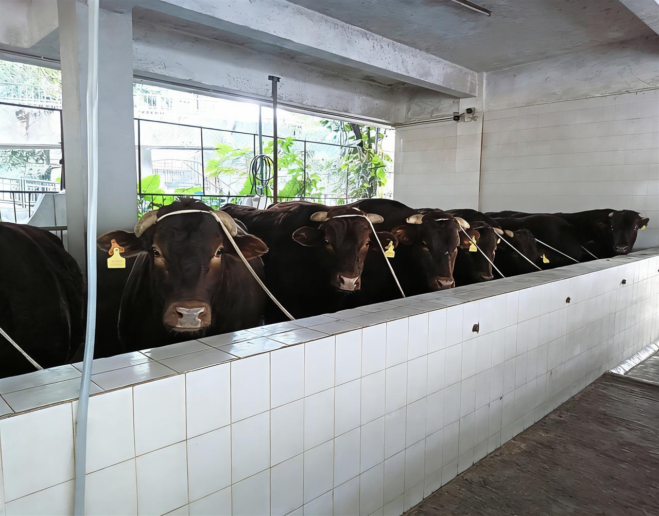 微信图片_20260120221243_139_14.png 微信图片_20260120221243_139_14.png