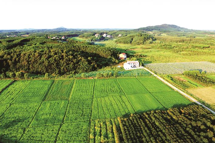 武汉江夏湖泗打造"四街四镇",重振宋瓷古镇风华 | 极目新闻