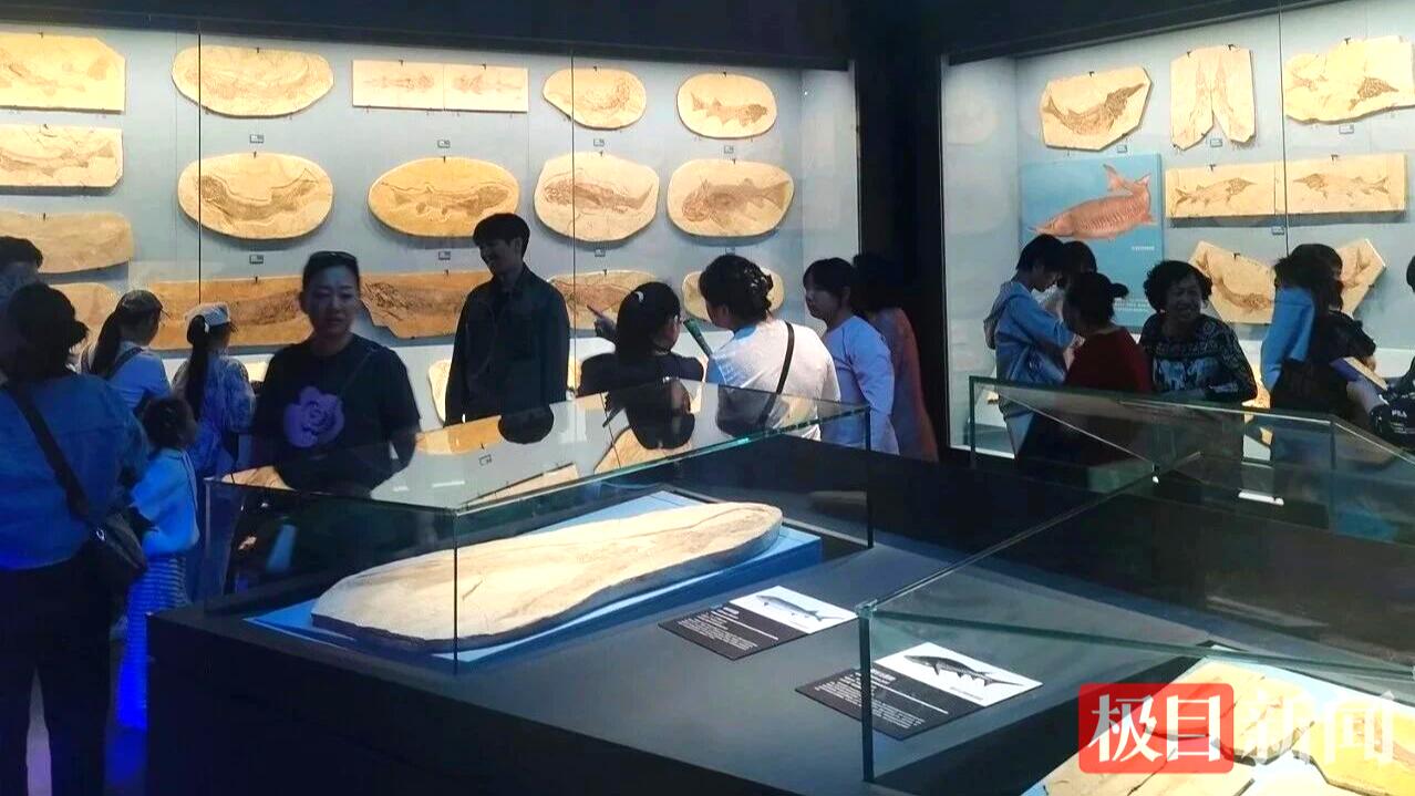 微信图片_20260506151058.jpg