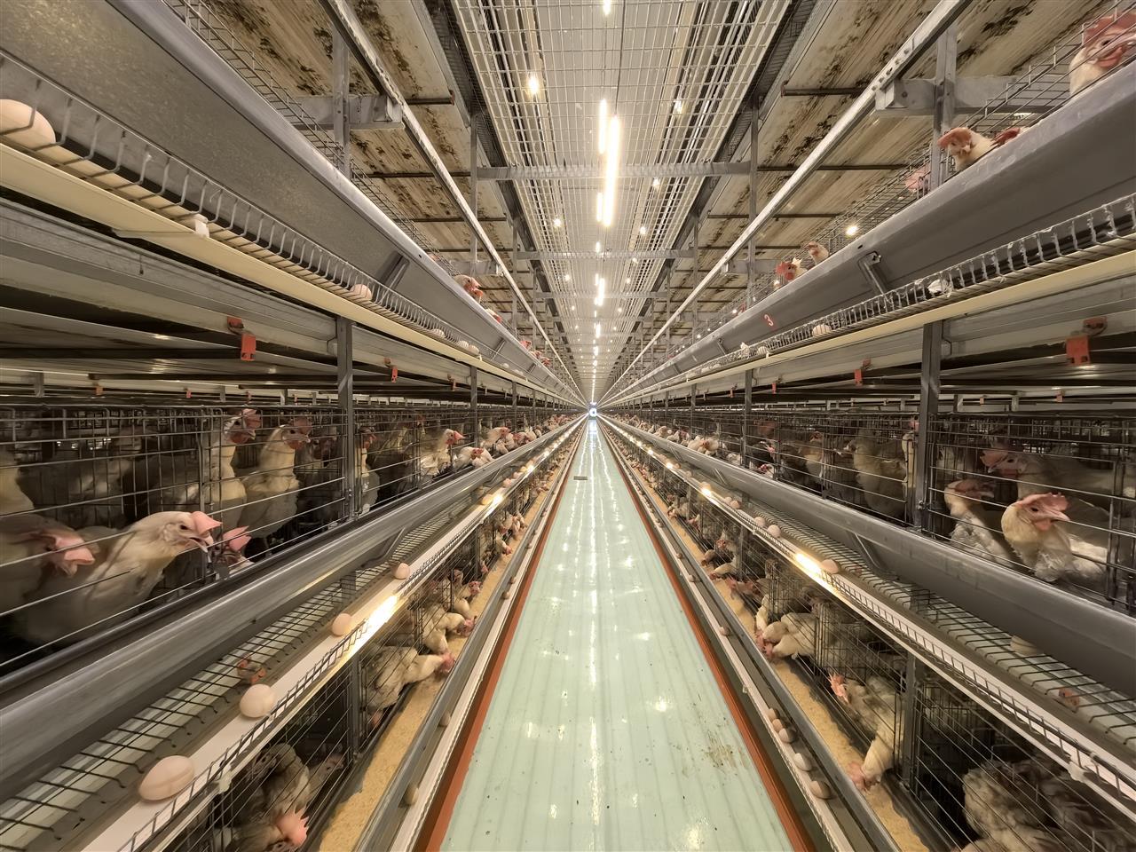 微信图片_20250717170633.jpg 微信图片_20250717170633.jpg