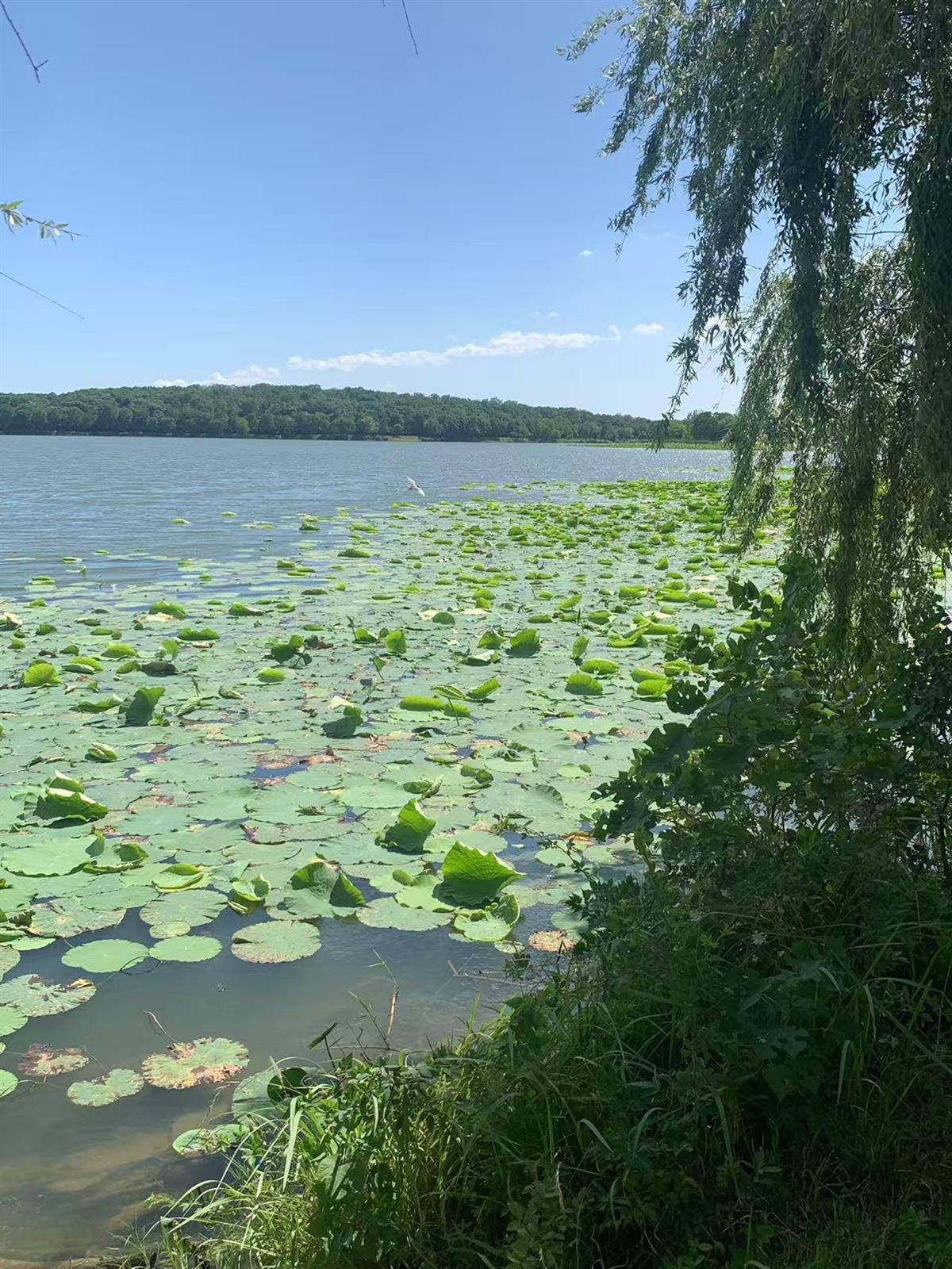 微信图片_20250803164343.jpg 微信图片_20250803164343.jpg