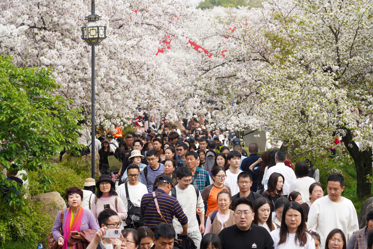 1 (15).JPG 1 (15).JPG