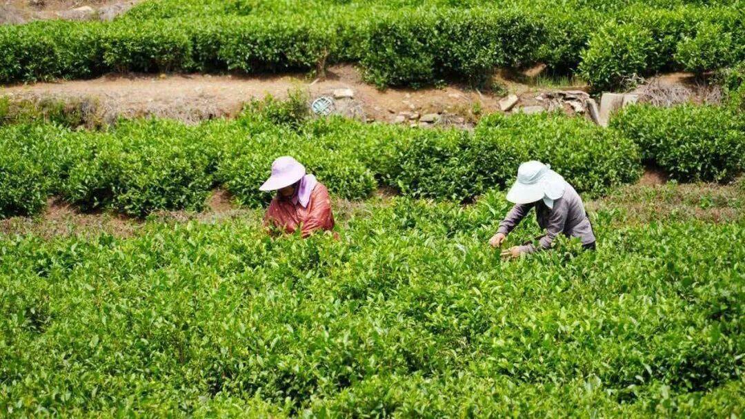 微信图片_20260318114821_47_1096.jpg 微信图片_20260318114821_47_1096.jpg