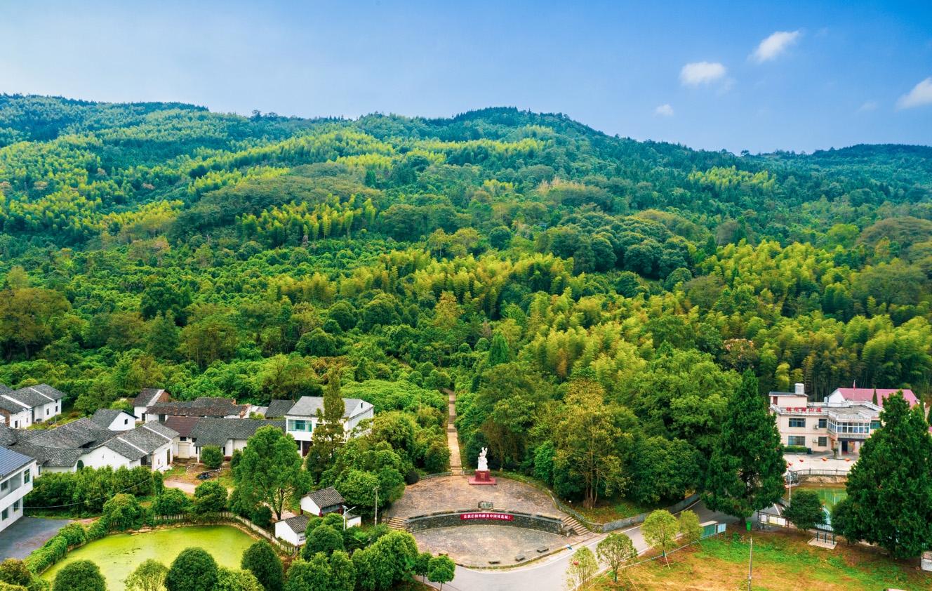 华中康养地,中国桂花城,咸宁一年四季皆可玩 | 极目新闻