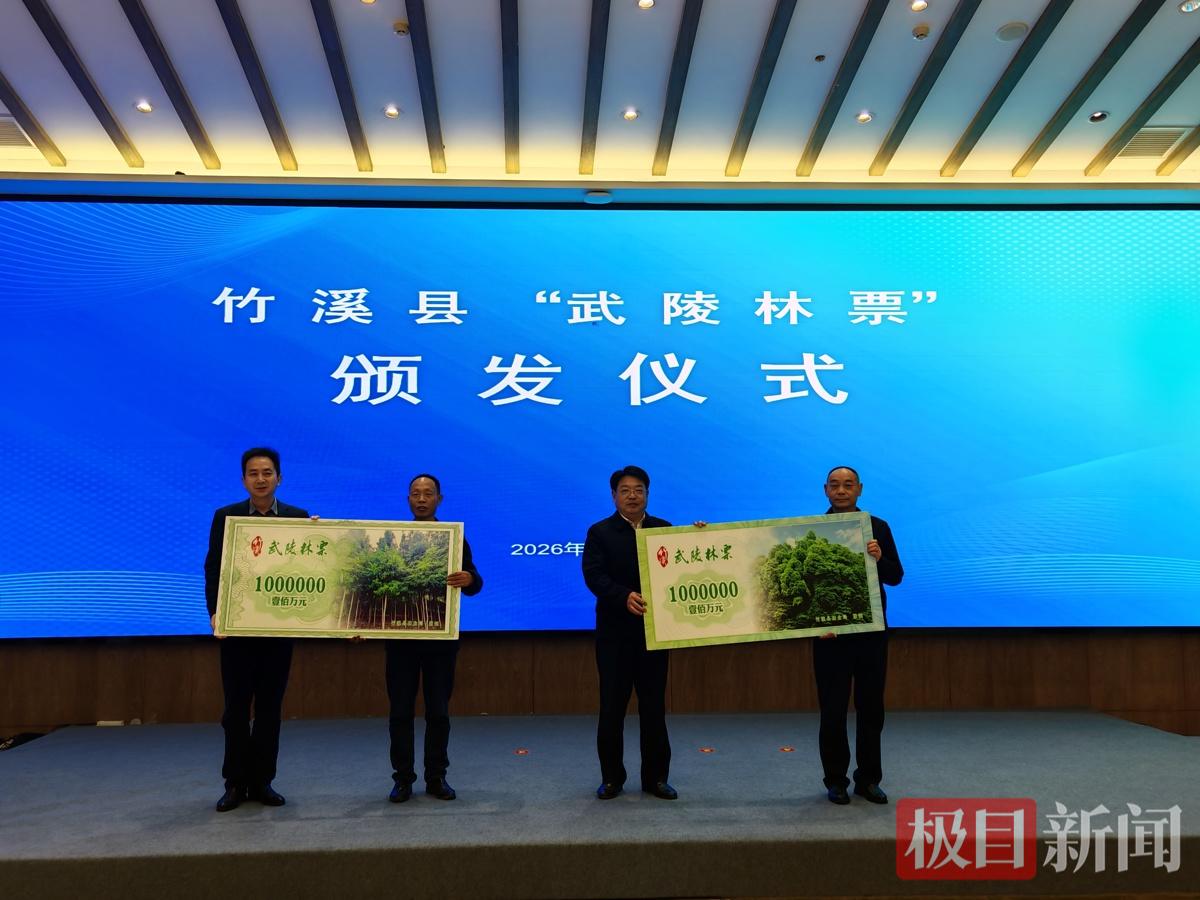 全省首单“林票”在竹溪颁发，111.6亩珍稀楠木林“变现”200万元 | 极目新闻