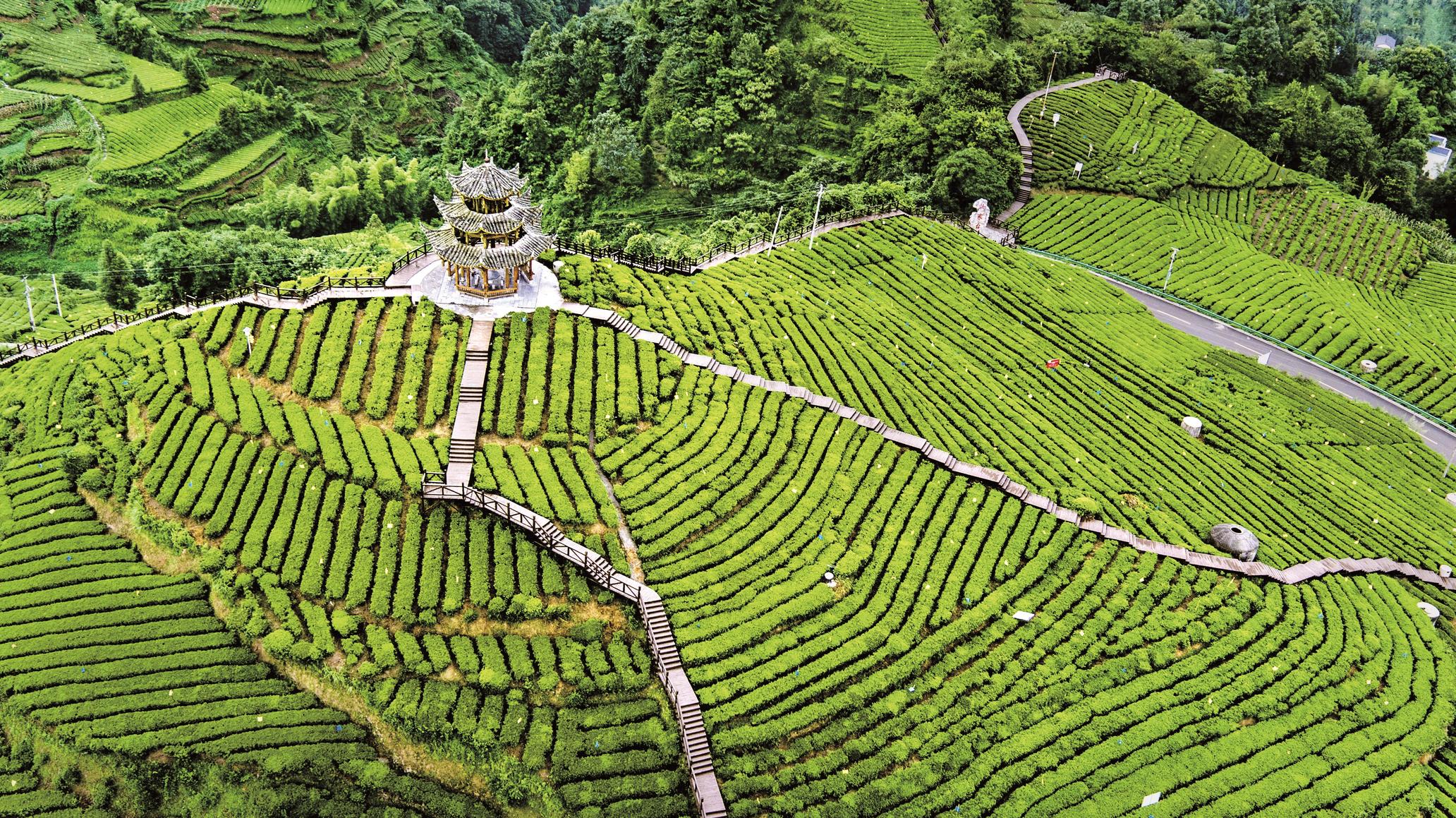 探索荆楚大地,打卡红色坐标,湖北六条线路入选"建党百