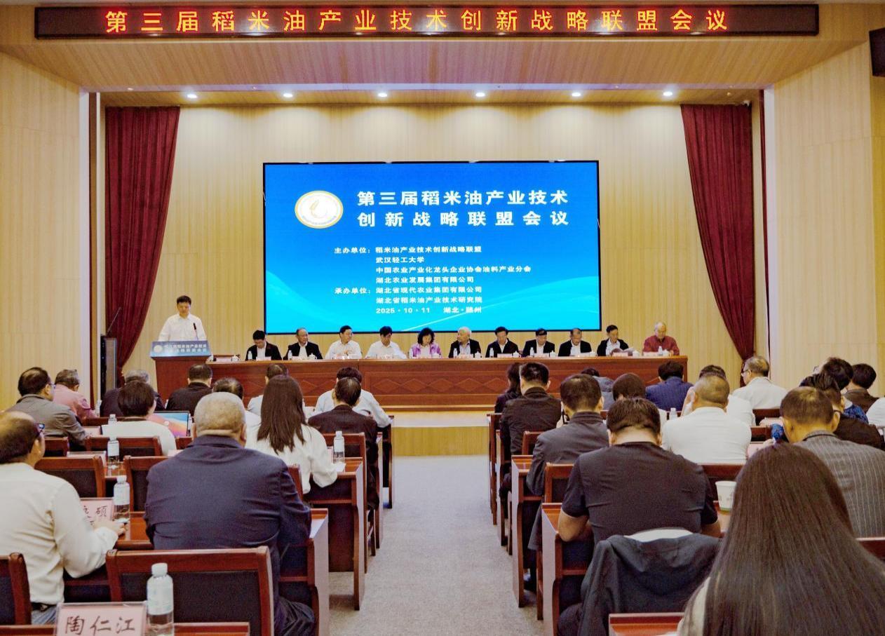 会议现场图 鲁雨杉 摄.png