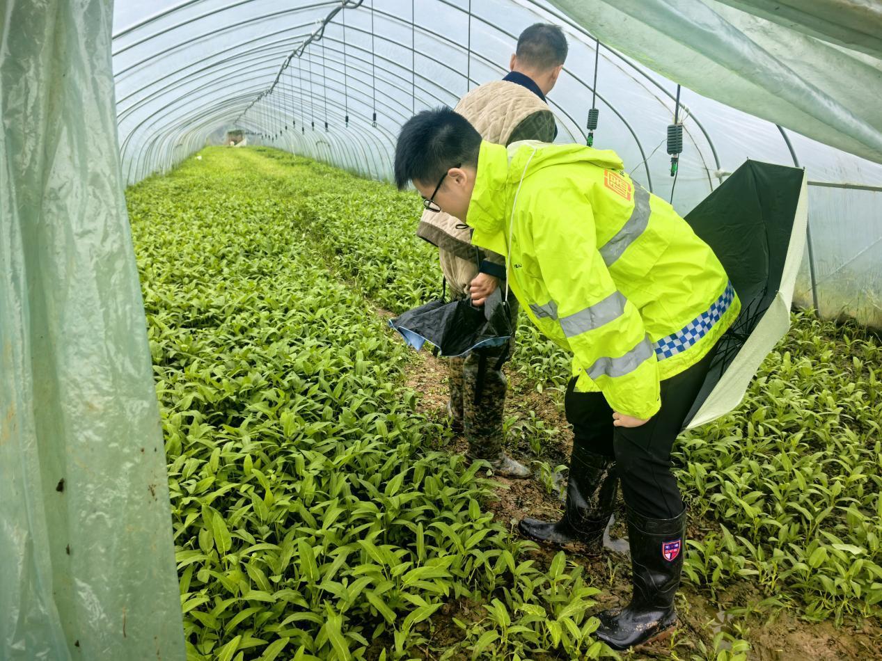 图片1.png 图片1.png