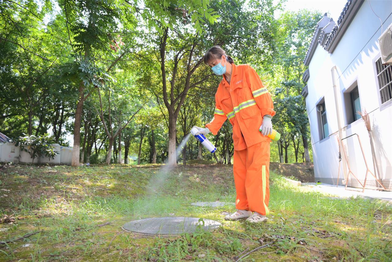 汉阳区——下水道消杀.jpg