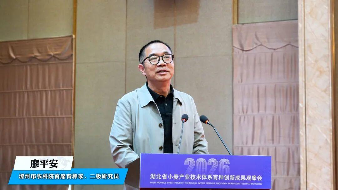 图片14.png 图片14.png