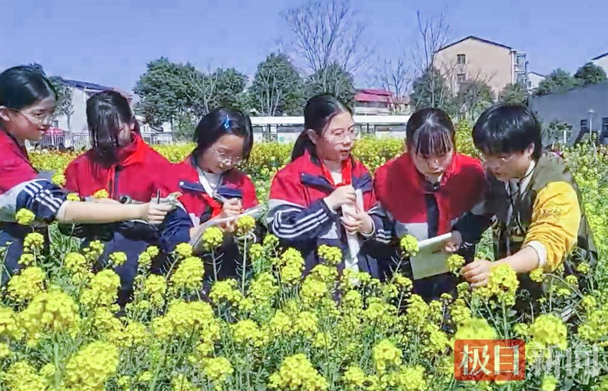 截屏2026-03-20 下午11.39.44.png